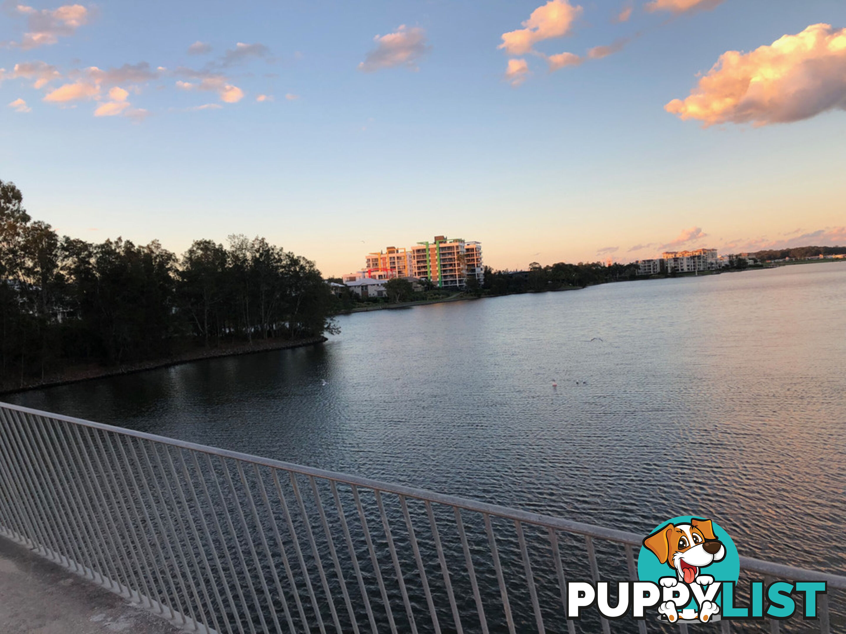 251/33 Lakefront Crescent VARSITY LAKES QLD 4227