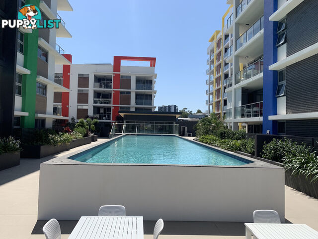 251/33 Lakefront Crescent VARSITY LAKES QLD 4227