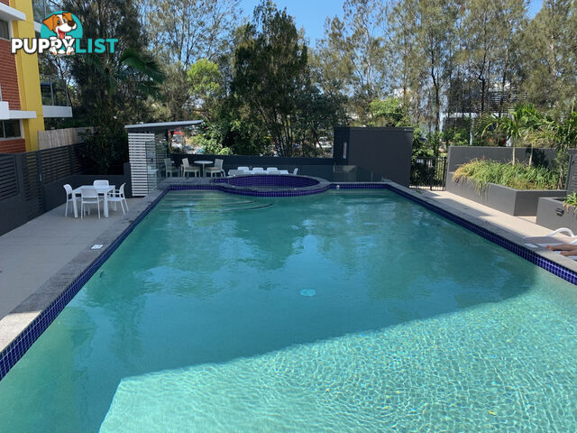 251/33 Lakefront Crescent VARSITY LAKES QLD 4227