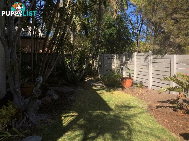 1/2 Ketch Place NOOSAVILLE QLD 4566