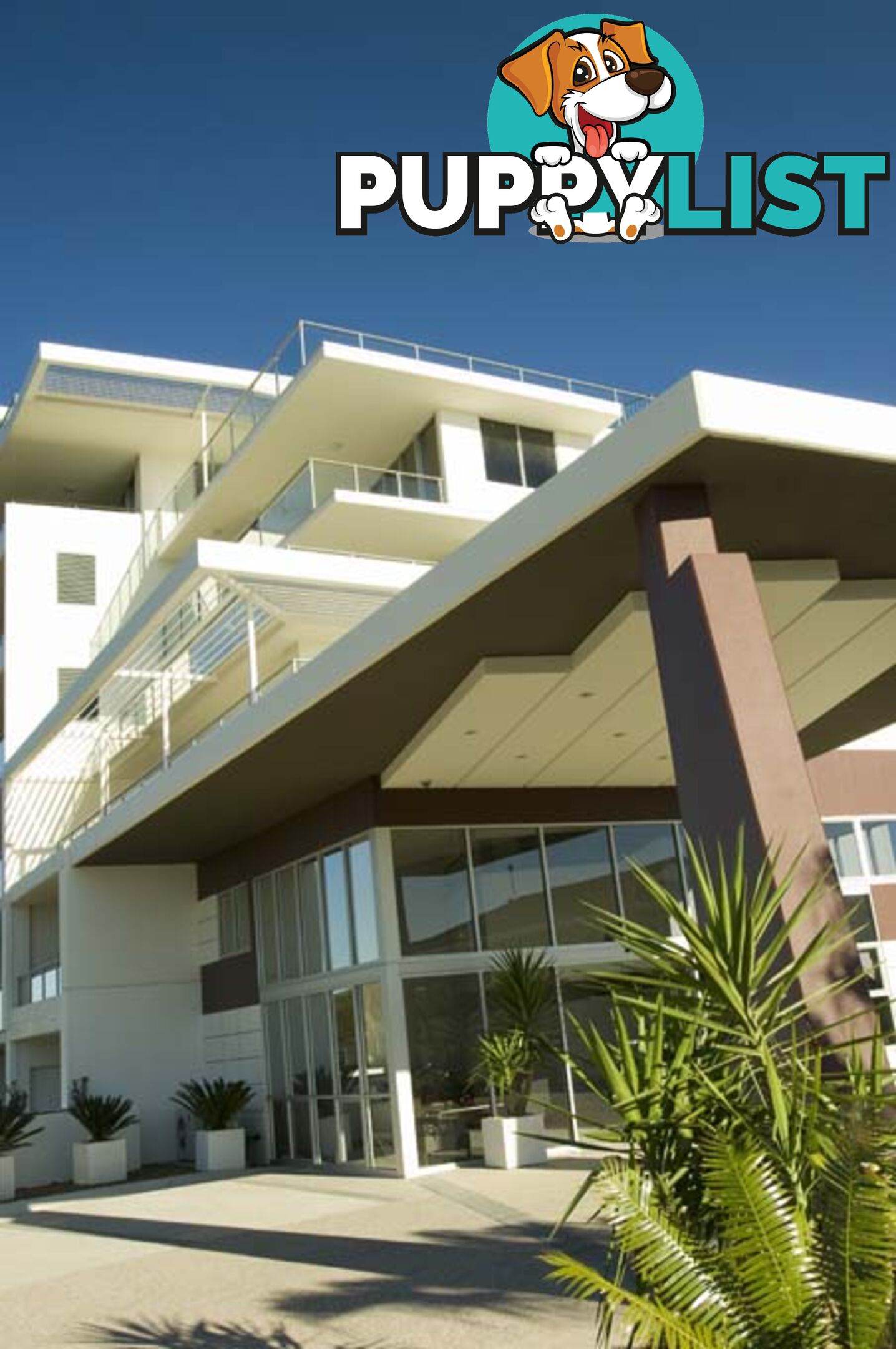 1207/1 Mungar Street MAROOCHYDORE QLD 4558