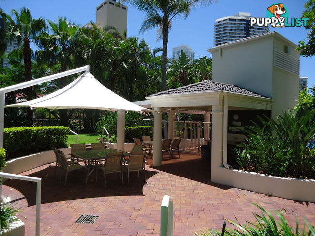 63/15-21 Breaker Street MAIN BEACH QLD 4217