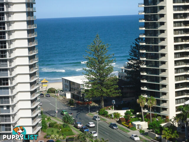 63/15-21 Breaker Street MAIN BEACH QLD 4217