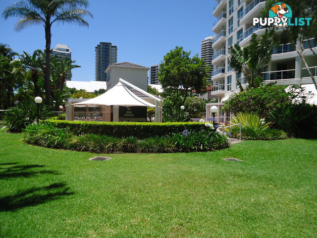 63/15-21 Breaker Street MAIN BEACH QLD 4217