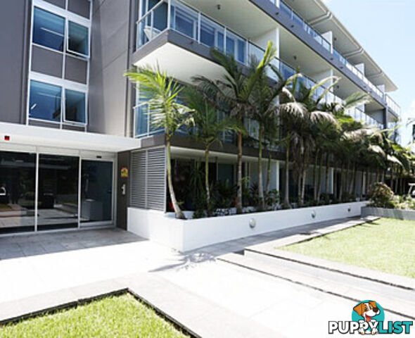 305/33-37 Madang Cres RUNAWAY BAY QLD 4216