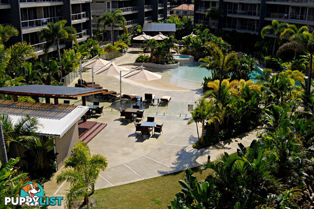 2408/2 Activa Way HOPE ISLAND QLD 4212