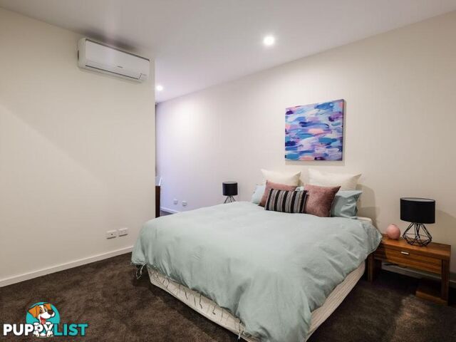 307/32-36 Gonzales Street MACGREGOR QLD 4109