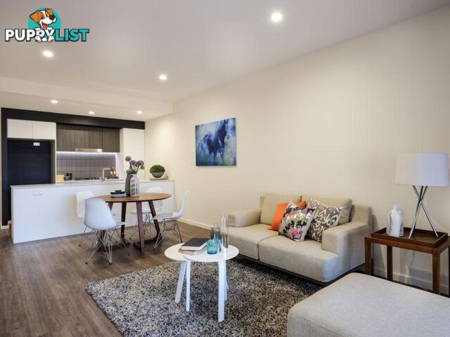 307/32-36 Gonzales Street MACGREGOR QLD 4109