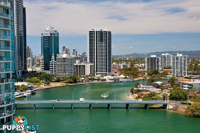 SURFERS PARADISE QLD 4217