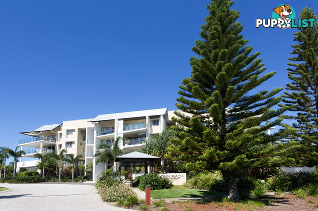 60/57 Grand Parade Parrearra QLD 4575