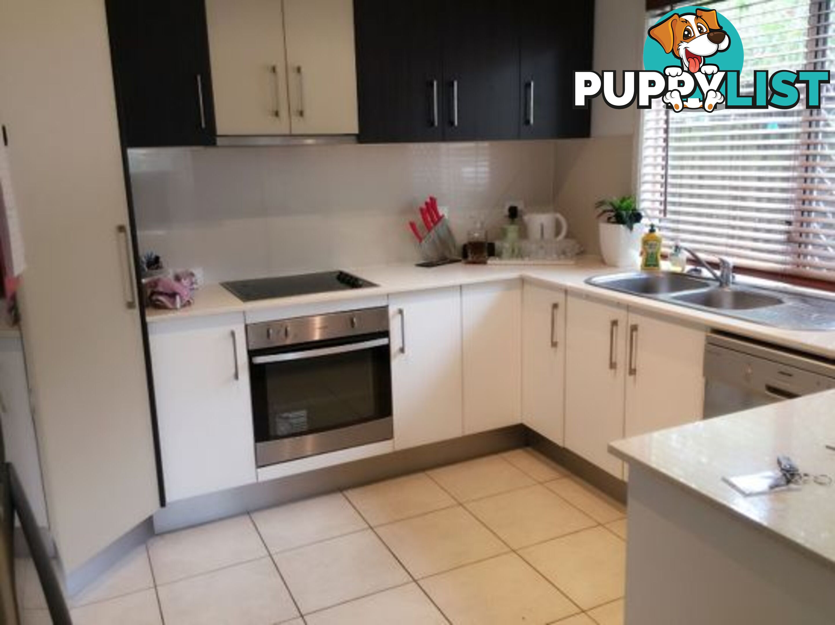 2/63 Monmouth Street MORNINGSIDE QLD 4170