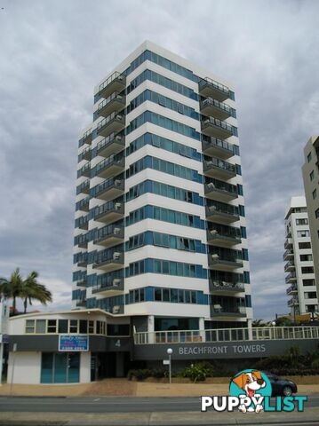 MAROOCHYDORE QLD 4558