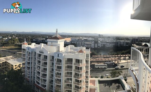 2114/2623 Gold Coast Highway BROADBEACH QLD 4218