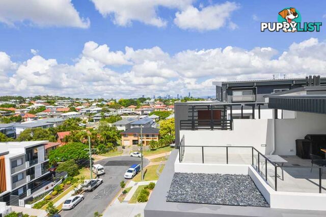 23/61 Ludwick street CANNON HILL QLD 4170