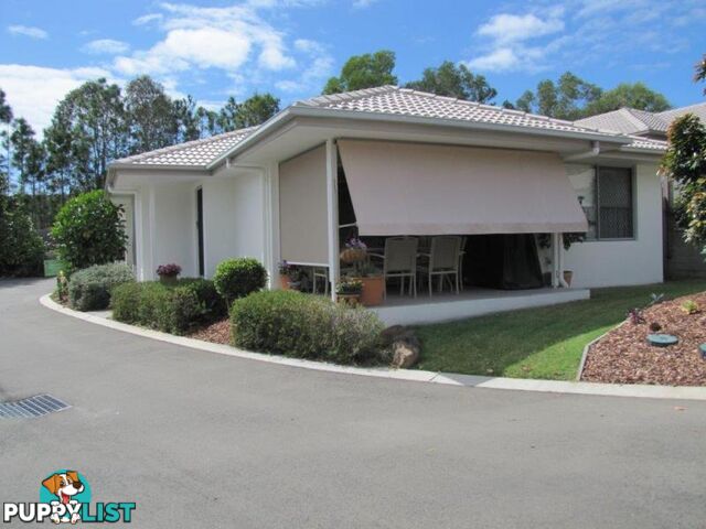 PACIFIC PINES QLD 4211