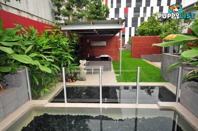 27/20 Anthony Street WEST END QLD 4101