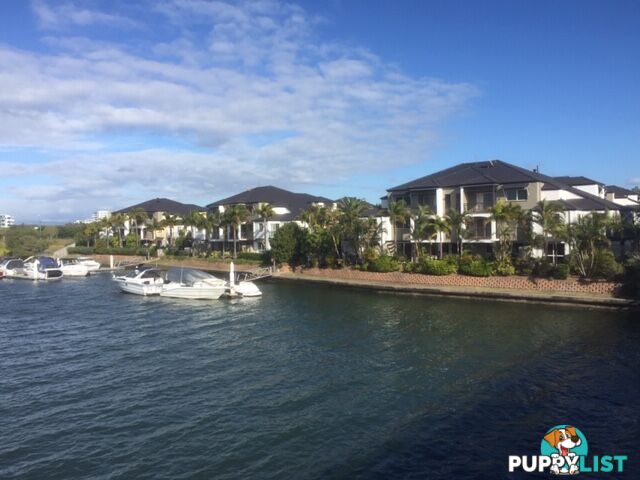 82-86 Limetree Parade RUNAWAY BAY QLD 4216