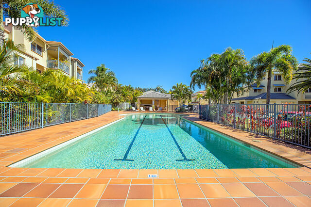 82-86 Limetree Parade RUNAWAY BAY QLD 4216