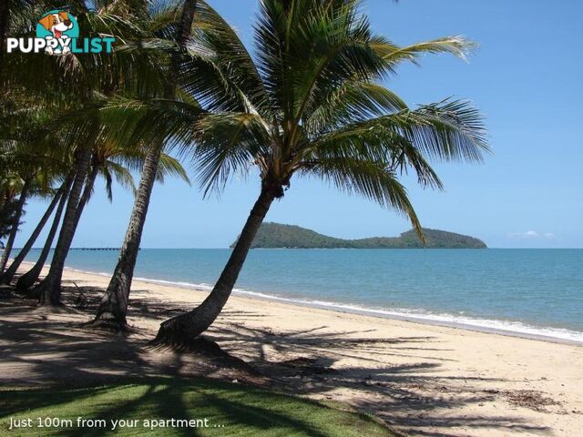 PALM COVE QLD 4879