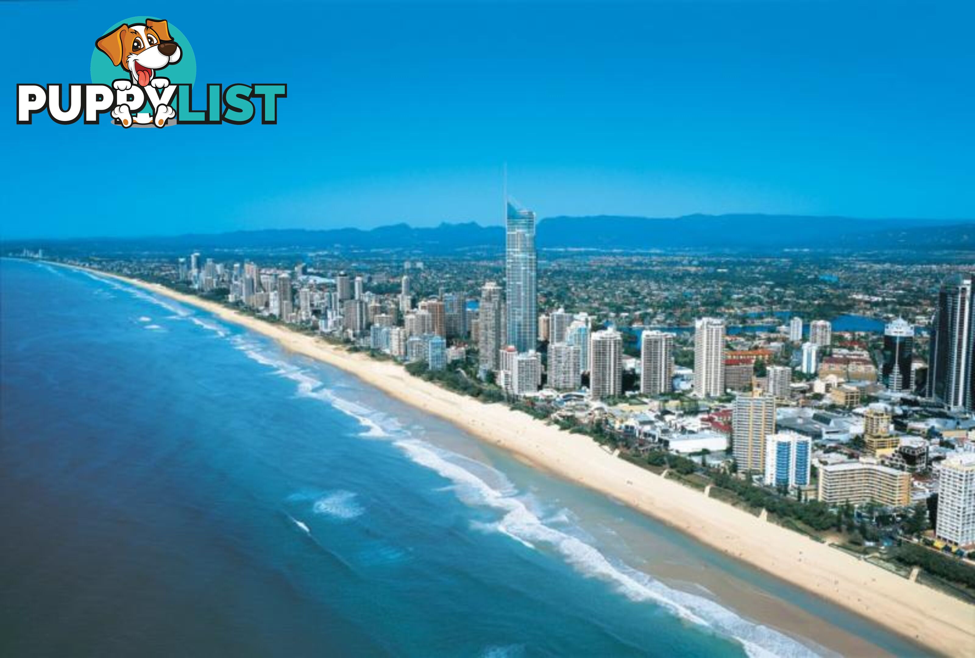 SURFERS PARADISE QLD 4217