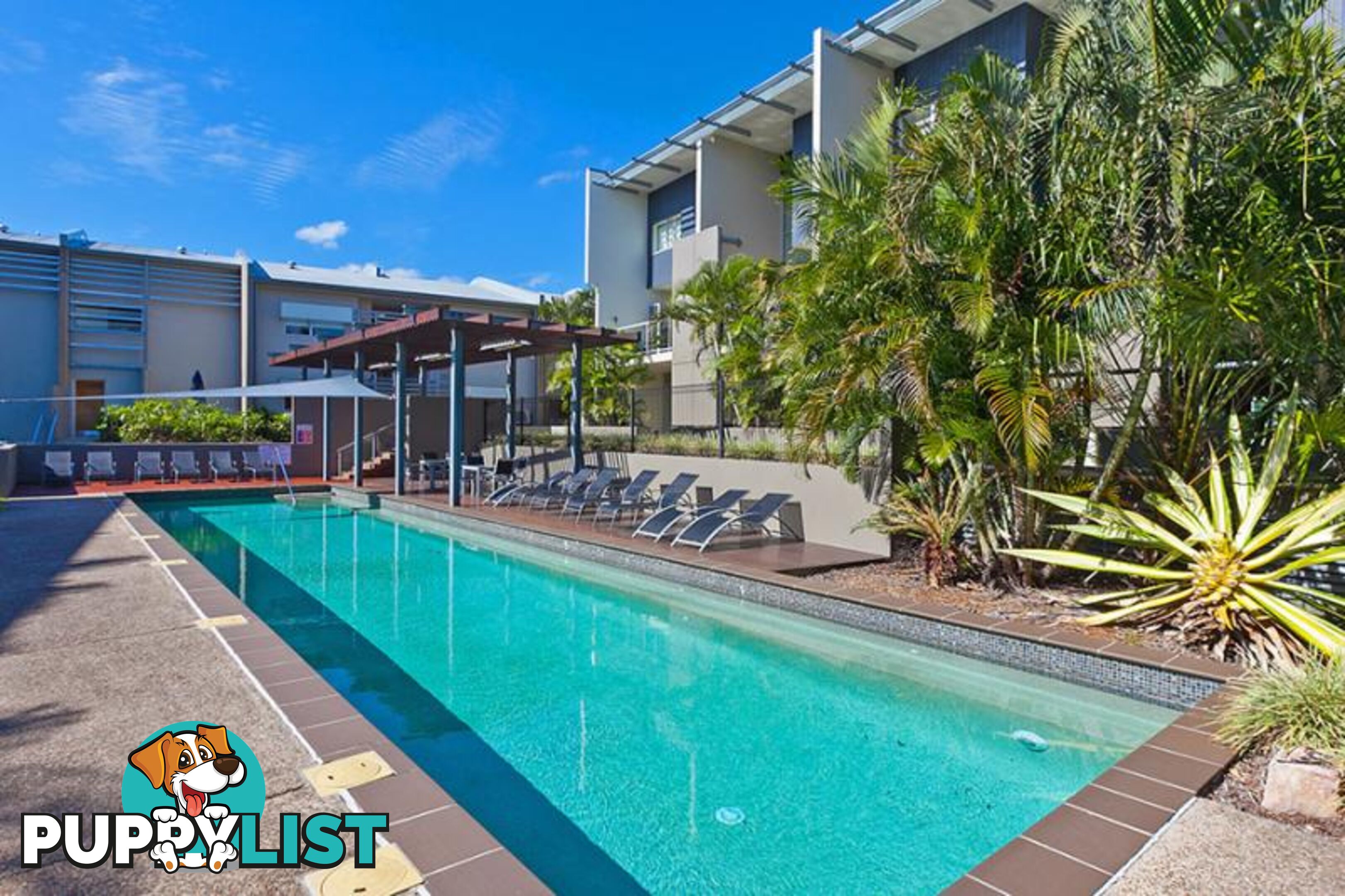 21 Love Street BULIMBA QLD 4171