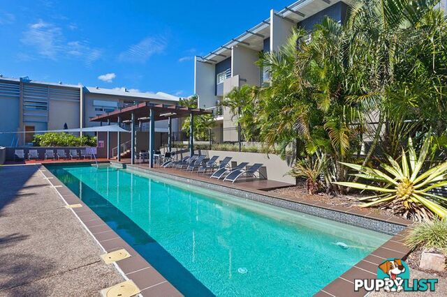 21 Love Street BULIMBA QLD 4171