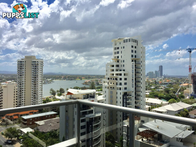 1501/18 CYPRESS AVE SURFERS PARADISE QLD 4217