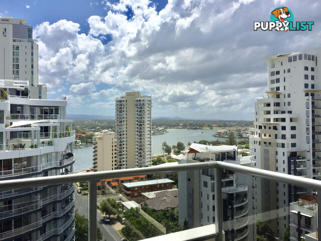 1501/18 CYPRESS AVE SURFERS PARADISE QLD 4217