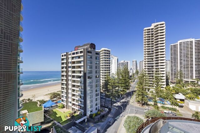 4 Clifford St SURFERS PARADISE QLD 4217