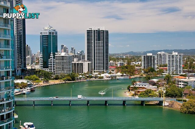 SURFERS PARADISE QLD 4217