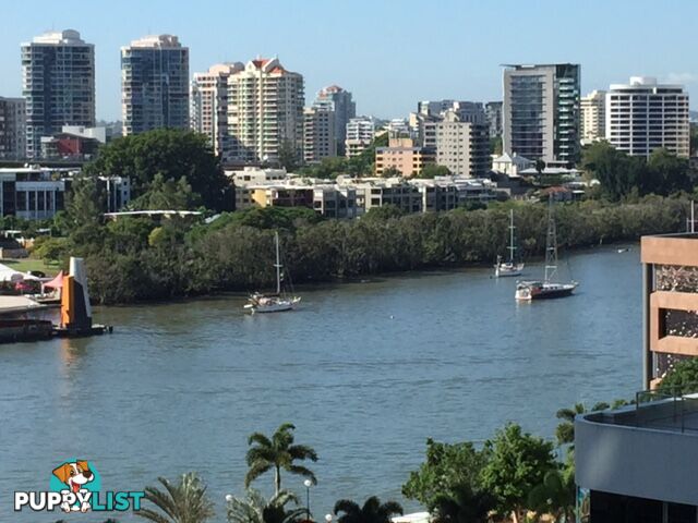 2701/540 Queen Street, BRISBANE CITY QLD 4000