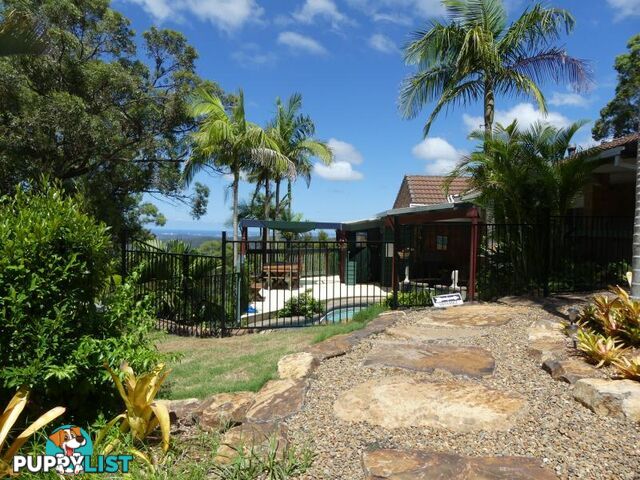 TAMBORINE MOUNTAIN QLD 4272