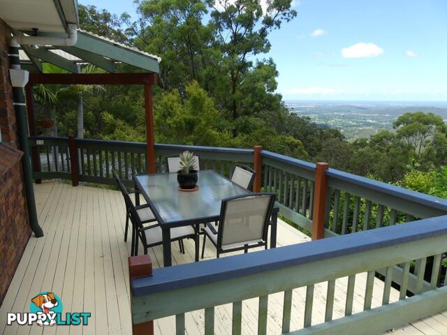 TAMBORINE MOUNTAIN QLD 4272