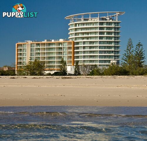 106/2-4 Creek Street, Kirra Beach COOLANGATTA QLD 4225