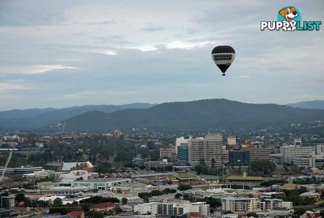 KALLANGUR QLD 4503