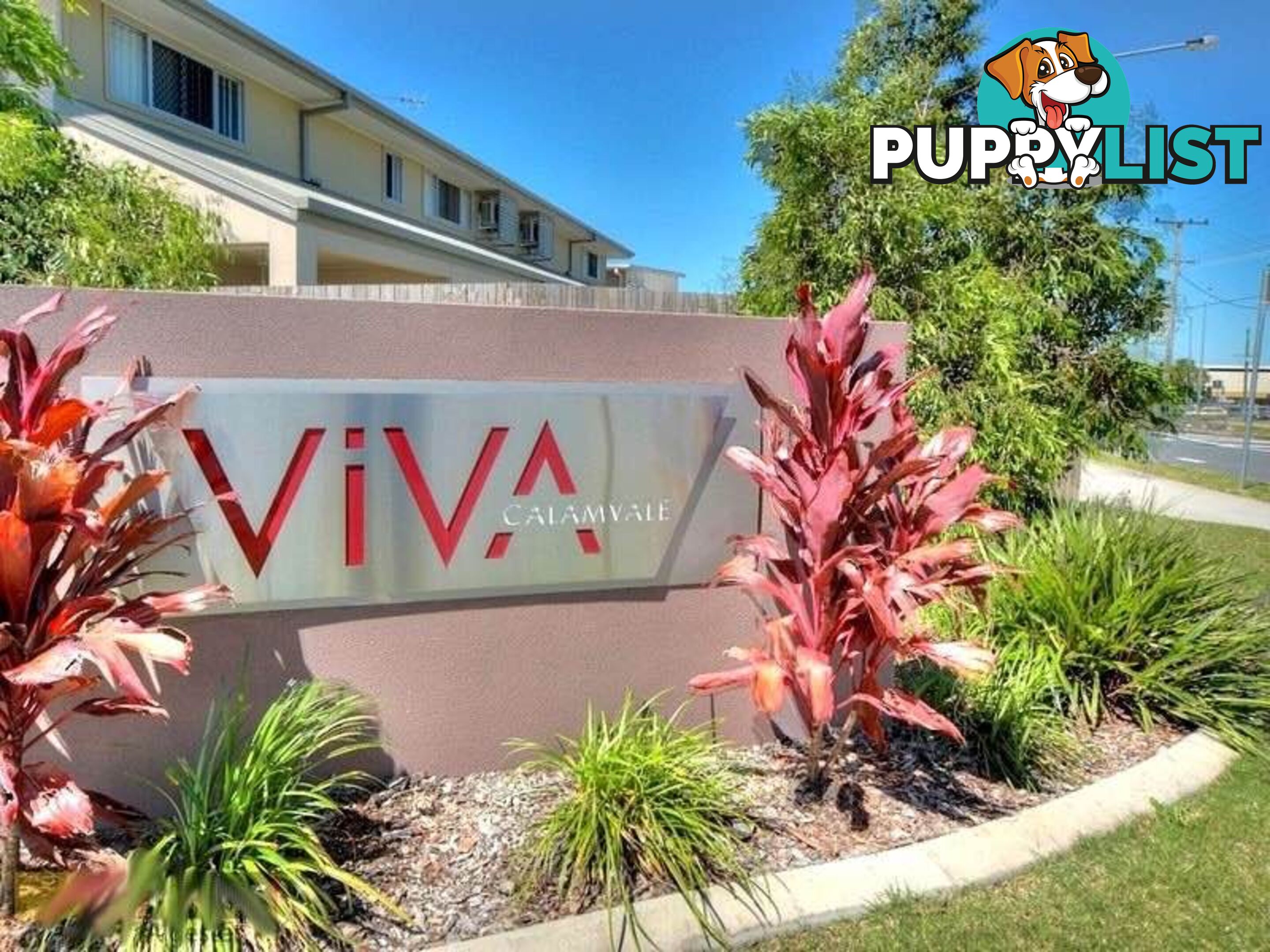 47/50 Perkins Street CALAMVALE QLD 4116