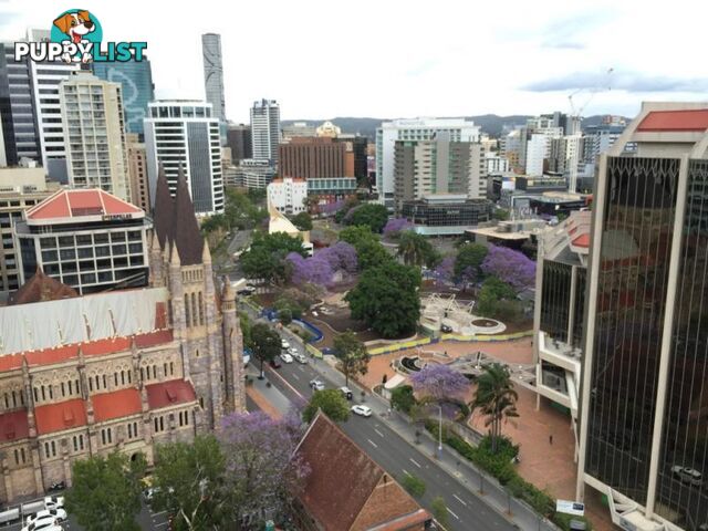 6303/540 Queen Street, BRISBANE CITY QLD 4000