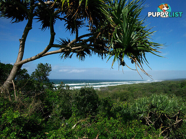 POINT LOOKOUT QLD 4183