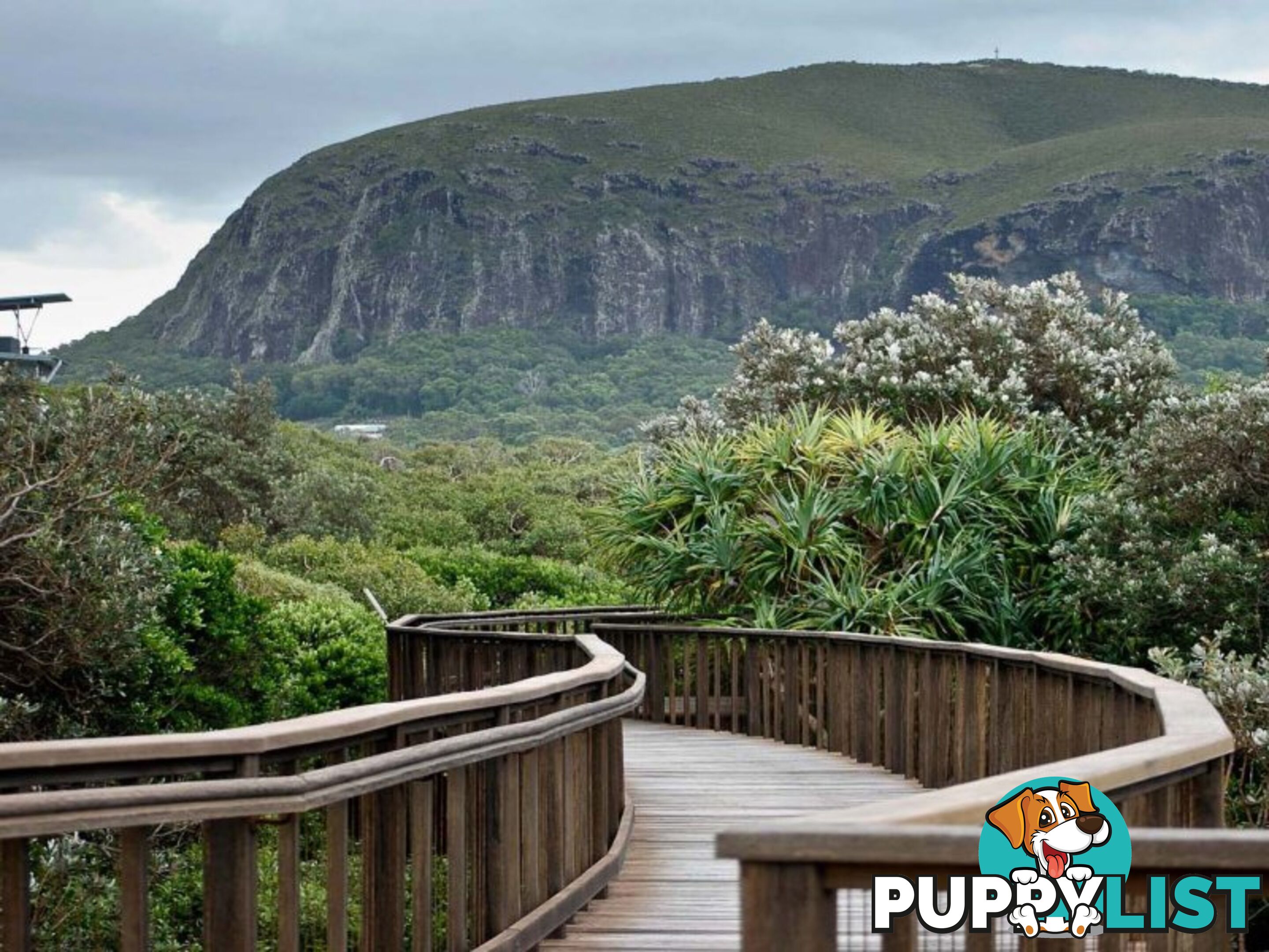 MOUNT COOLUM QLD 4573