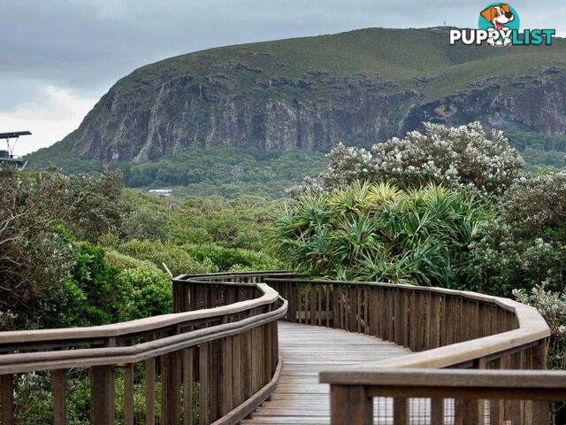 MOUNT COOLUM QLD 4573