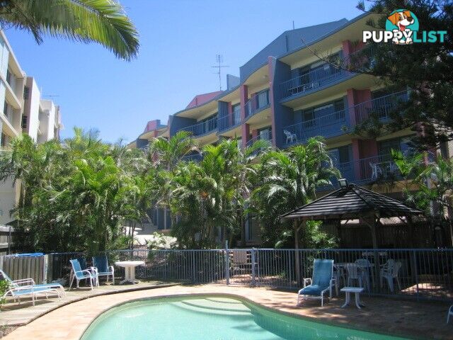 CALOUNDRA QLD 4551