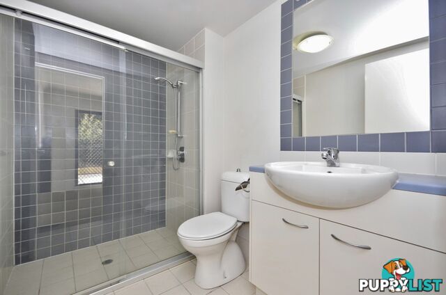 70 Norman Crescent NORMAN PARK QLD 4170