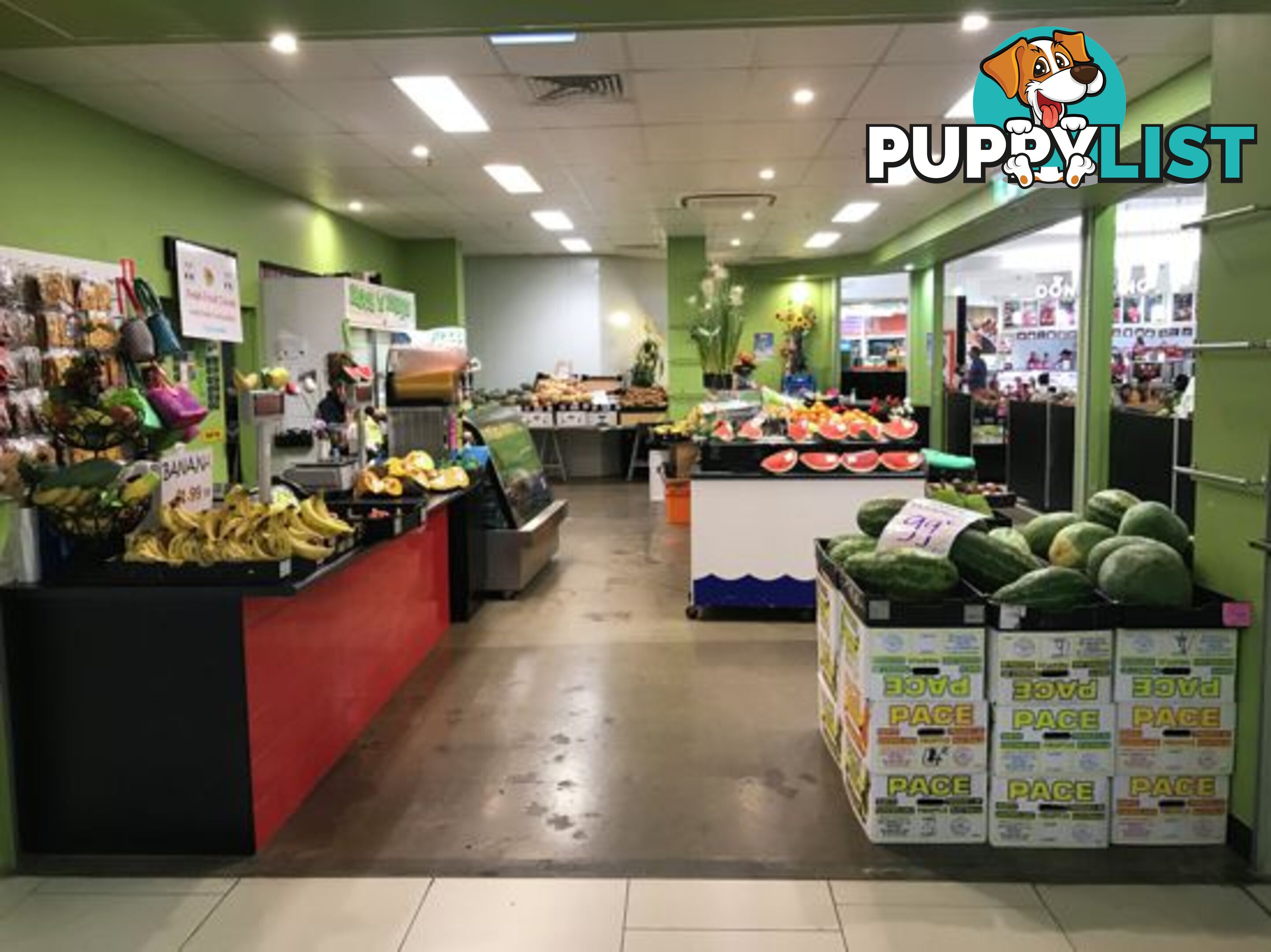 Shop 216 DFO CAIRNS QLD 4870