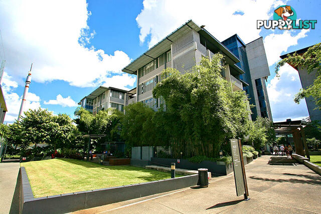 1428/24 Cordel 1428/24 Cordelia St SOUTH BRISBANE QLD 4101