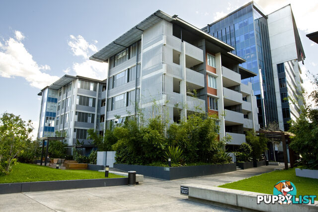 1428/24 Cordel 1428/24 Cordelia St SOUTH BRISBANE QLD 4101