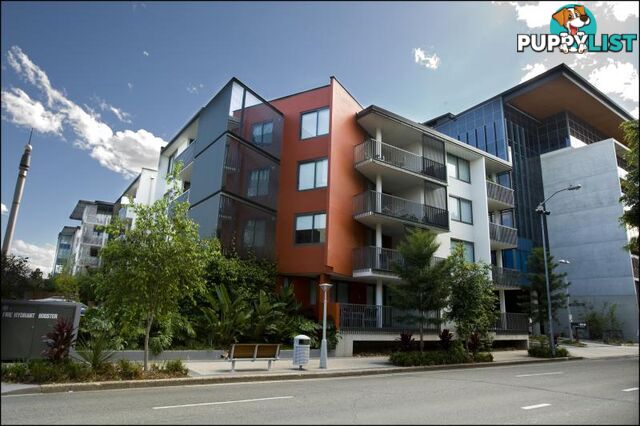1101/40 Merivale Street SOUTH BRISBANE QLD 4101