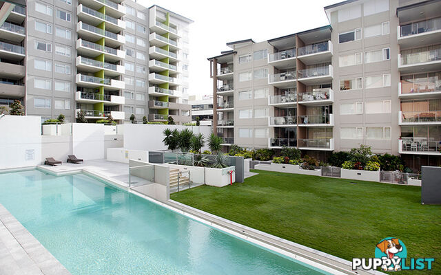 102/51 Hope Street SPRING HILL QLD 4000