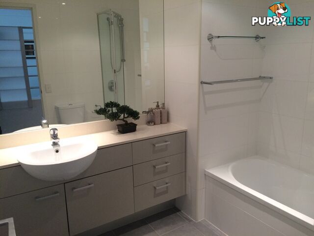 102/51 Hope Street SPRING HILL QLD 4000