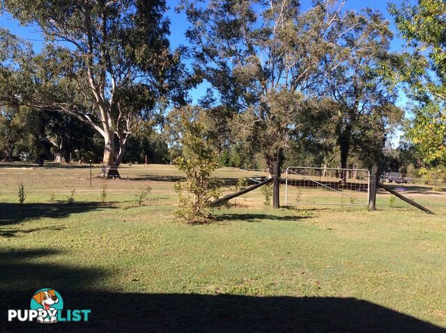 1 Yatama Place TEWANTIN QLD 4565