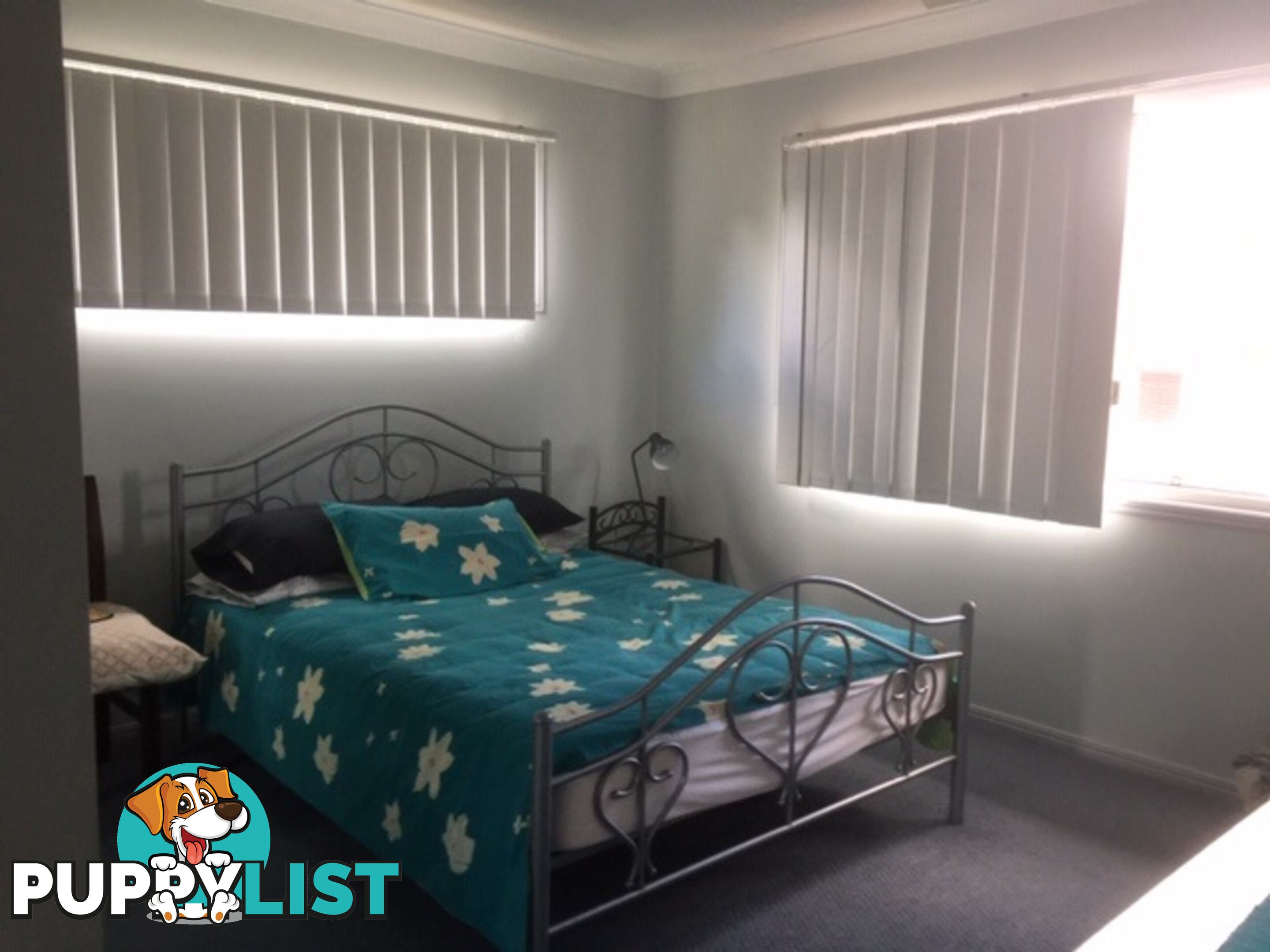 15 Daisy Hill Road DAISY HILL QLD 4127